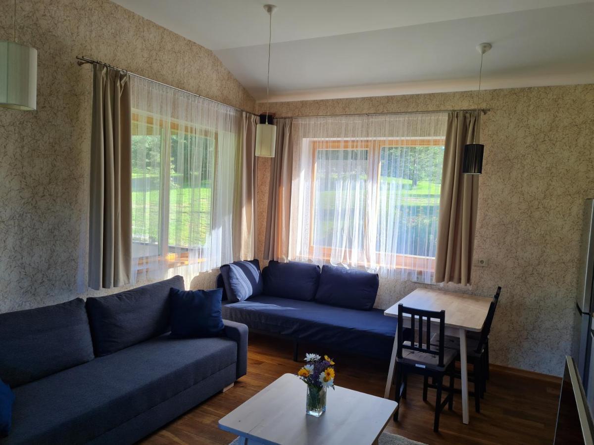 Atostogu Namelis-Pirtis Prie Upes Villa Anykščiai Екстериор снимка